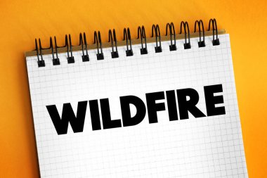 Vahşi ateş, orman gibi doğal bir alanda yanan planlanmamış bir yangındır. Sunum ve raporlar için metin kavramı.