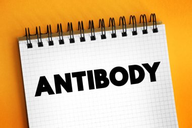 Antikor - bağışıklık sistemi tarafından patojenik bakteri ve virüsler gibi yabancı nesneleri tanımlamak ve nötralize etmek için kullanılan büyük bir Y şekilli proteindir.