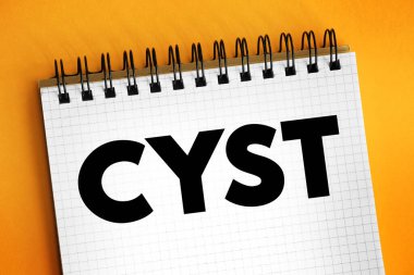 Kist hava, sıvı ya da diğer maddelerle dolu küçük bir doku cebi, not defterinde metin kavramı