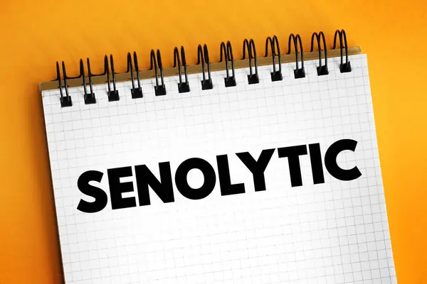 stock image Senolytic - class of small molecules under basic research, text concept on notepad