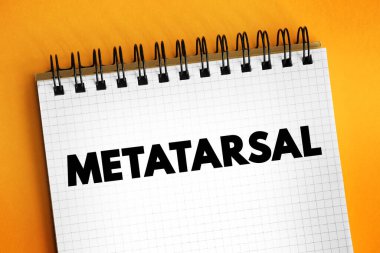 Metatarsal - Ayakta beş uzun kemik grubu, not defterinde metin kavramı