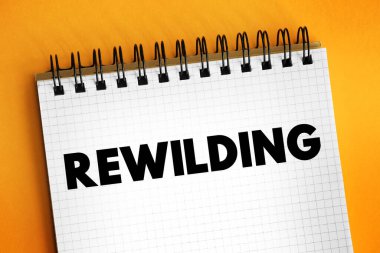 Baş döndürücü - faaliyetler, doğal süreçleri ve ıssız alanları geri getirme ve koruma amaçlı koruma çabalarıdır, not defterindeki metin kavramı