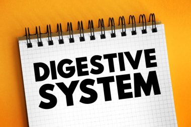 Digestive System consists of the gastrointestinal tract plus the accessory organs of digestion, text concept on notepad