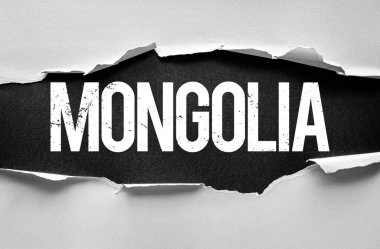 MONGOLIA, sert harfler ve yüksek kontrast ile yırtık kağıt bir yüzey üzerinden cesurca sergilenir. Bileşim, güç ve ortaya çıkışı yansıtıyor. Kimlik ve aydınlanma hissi uyandırıyor.