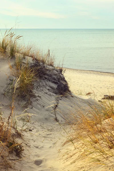 Strand Med Sanddyner Hösten — Stockfoto