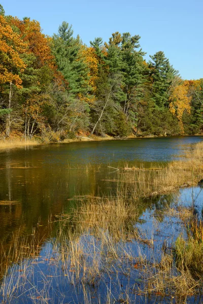 Autumn Time Ausable River Ontario Canada Sunny Day — Stock Photo, Image