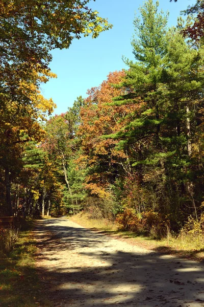カナダのオンタリオ州の晴れた日の秋の田舎道 — ストック写真