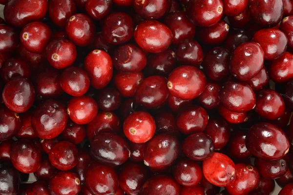 stock image closeup cranberries making a background