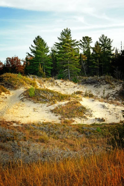Pláž Tráva Písečné Duny Pinery Provincal Park Podzim — Stock fotografie