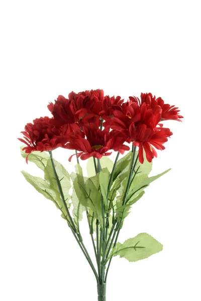 Απομονωμένα Τεχνητά Μεγάλα Κόκκινα Λουλούδια — Φωτογραφία Αρχείου