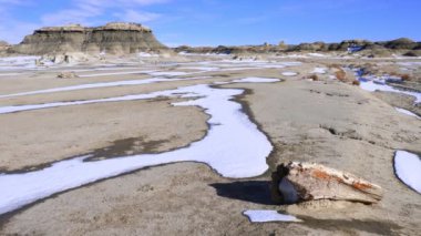 Kışın New Mexico 'daki Bisti De-Na-Zin Wilderness bölgesinde taşlaşmış odun parçaları.