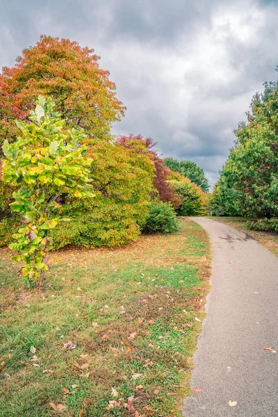 Vandringsled Arboretum Lexington Kentucky Hösten — Stockfoto