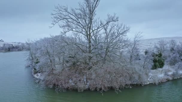 中央ケンタッキーの小さな湖の海岸氷の嵐の後 — ストック動画
