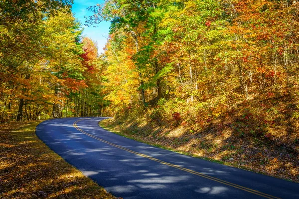 今年秋天 北卡罗莱纳州阿什维尔附近的蓝岭大道蜿蜒穿过树林 — 图库照片