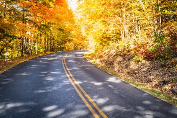 Blue Ridge Parkway Winding Woods Fall Asheville North Carolina — Stockfoto