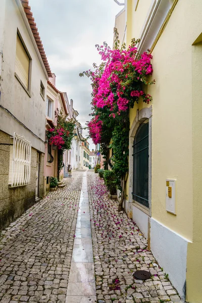 Pedestrian Cobblestone Street Cascais Portugal — Stock Photo, Image