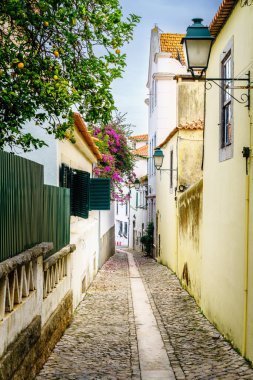 Portekiz, Cascais 'de kaldırım taşı caddesi.