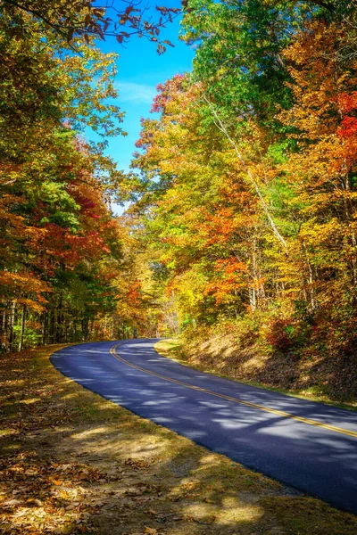 今年秋天 北卡罗莱纳州阿什维尔附近的蓝岭大道蜿蜒穿过树林 — 图库照片
