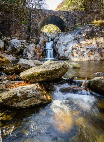 Beautiful Waterfall Forest Heritage National Scenic Byway North Carolina — 스톡 사진