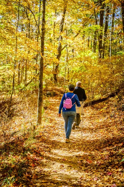 シニアカップルは秋にノースカロライナ州の森の中でハイキングをしています — ストック写真
