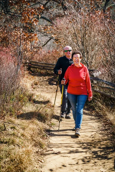 Senior Couple Hiking Woods North Carolina Fall — Foto Stock