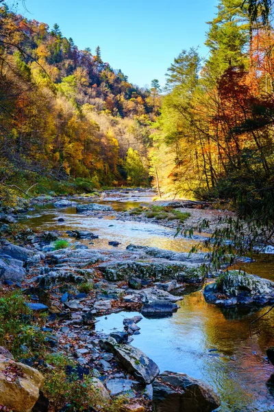 Kuzey Carolina Daki Büyük Laurel Deresi Nin Sonbaharda Manzarası — Stok fotoğraf