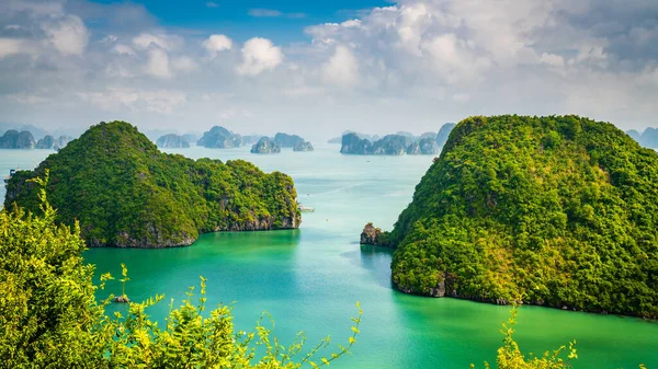 越南下龙湾美丽的石灰岩岩溶岛 由天顶岛观景 — 图库照片