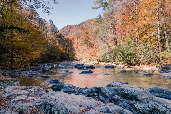 Kuzey Carolina Daki Büyük Laurel Deresi Nin Sonbaharda Manzarası — Stok fotoğraf