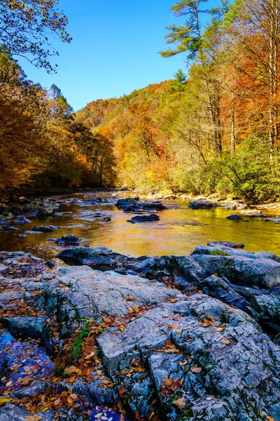 Scénický Pohled Big Laurel Creek Severní Karolíně Podzim — Stock fotografie