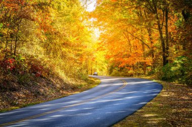 Blue Ridge Parkway winding through the woods in fall near Asheville, North Carolina