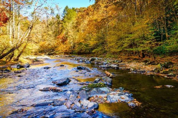 Scenisk Över Big Laurel Creek North Carolina Hösten — Stockfoto