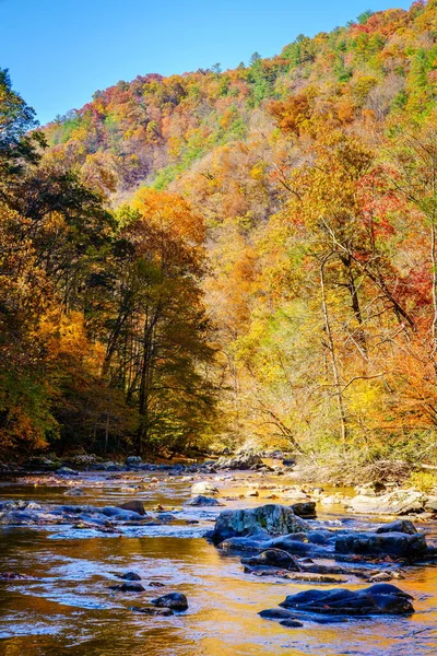 Widok Big Laurel Creek Karolinie Północnej Jesienią — Zdjęcie stockowe