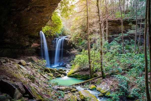 ケンタッキー州ダニエル ブーン国立の森の松の島の二重の滝の風景 — ストック写真