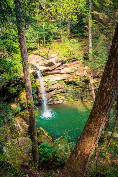 Vue Supérieure Flat Lick Falls Dans Comté Jackson Kentucky — Photo