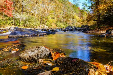 Kuzey Carolina 'daki Büyük Laurel Deresi' nin sonbaharda manzarası