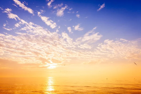 ดวงอาท ตกท สวยงามเหน าวเม โกท ชายหาดเซนต ทในฟลอร — ภาพถ่ายสต็อก