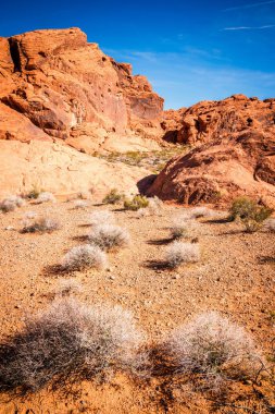 kaya oluşumları vadisinde Nevada eyalet parkı ateş