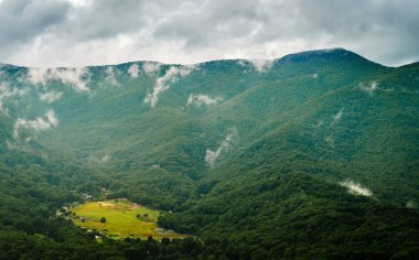 Maggie Valley, Kuzey Carolina yakınlarındaki Smokie Dağları 'nda küçük bir yerleşim yeri.