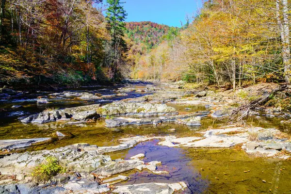 Szenische Ansicht Von Big Laurel Creek North Carolina Herbst Stockfoto