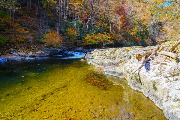 Ein Wasserfall Big Laurel Creek North Carolina Herbst Stockbild