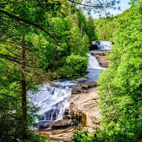 Vista Panorâmica Tripple Falls Dupont State Forest Carolina Norte Imagens De Bancos De Imagens Sem Royalties