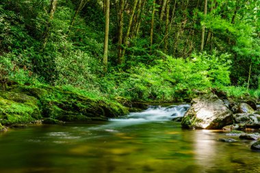 North Fork Fransız Geniş Nehrinde Küçük Şelale