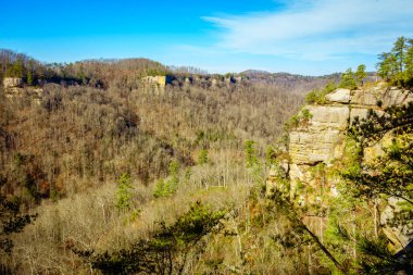 Kentucky 'deki Red River Gorge jeolojik bölgesinden Rocky Branch Outlook' un manzarası