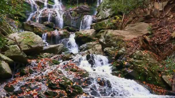 Сценический Вид Водопада Катоба Национальном Лесу Писга Недалеко Эшвилла Северная — стоковое видео