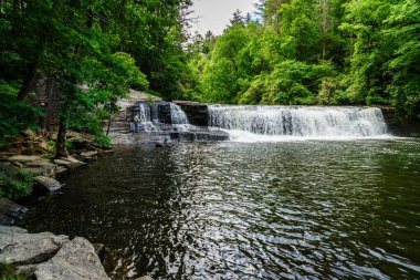 DuPont Eyalet Ormanı, Kuzey Carolina, 11 Haziran 2021: Adam güzel bir yaz gününde Kuzey Carolina Hooker Falls 'da balık tutuyor.
