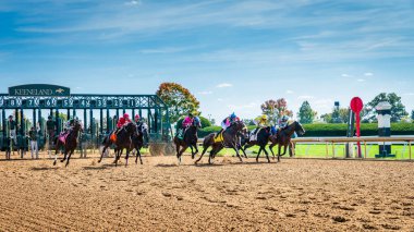 Keeneland, Lexington, Kentucky, 18 Ekim 2023: Keenealand Sonbahar Yarışı Yarışı 4.