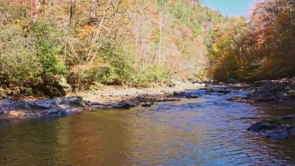 Widok Big Laurel Creek Karolinie Północnej Jesienią — Wideo stockowe