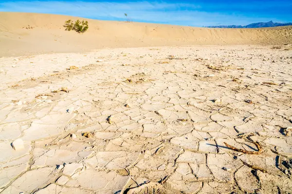 Száraz Alján Egy Alacsony Területen Mesquite Flat Sand Dunes Stock Fotó