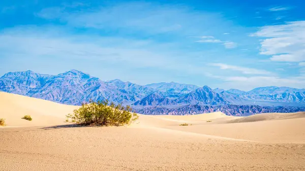 加利福尼亚死亡谷国家公园中的中间平坦沙丘和后方山脉景观 免版税图库照片