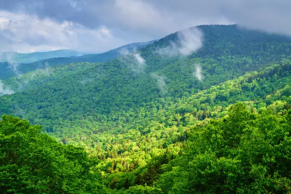 Blue Ridge Parkway 'den Kuzey Carolina Maggie Vadisi yakınlarındaki Smokie Dağları' nın manzarası